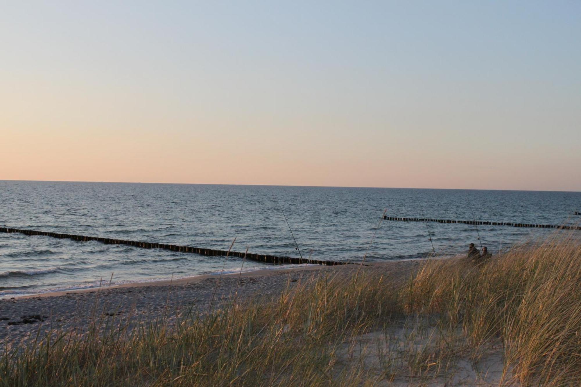 -"Strandhaus Friedrich"- Dierhagen Eksteriør billede
