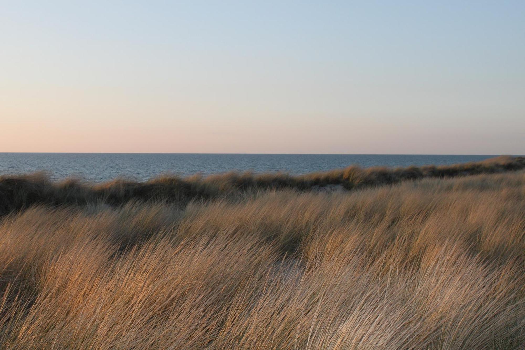-"Strandhaus Friedrich"- Dierhagen Eksteriør billede