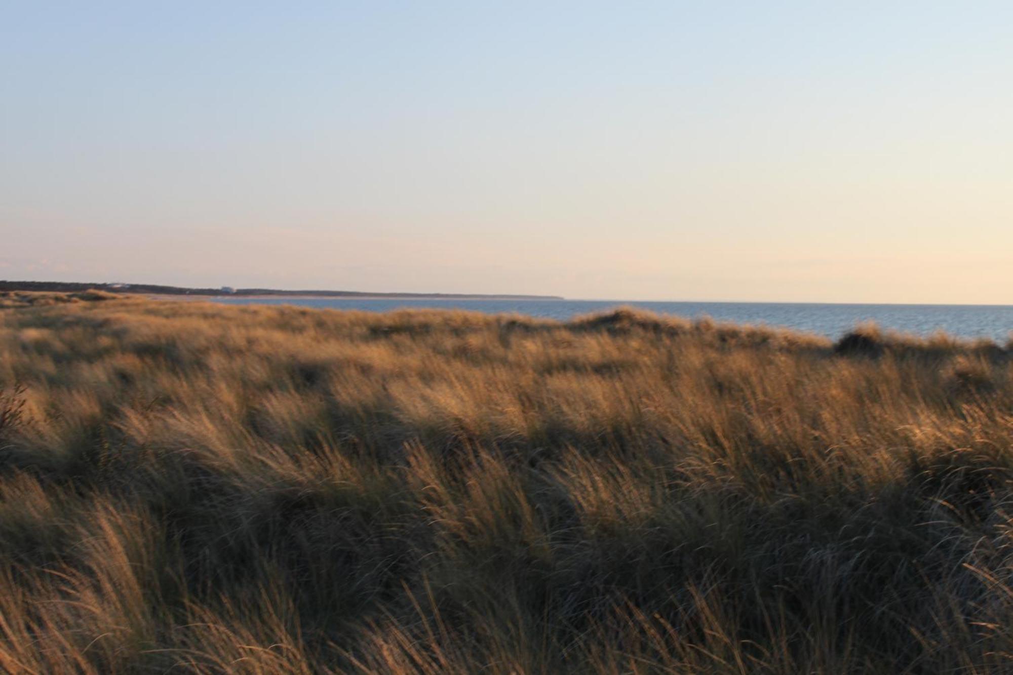 -"Strandhaus Friedrich"- Dierhagen Eksteriør billede